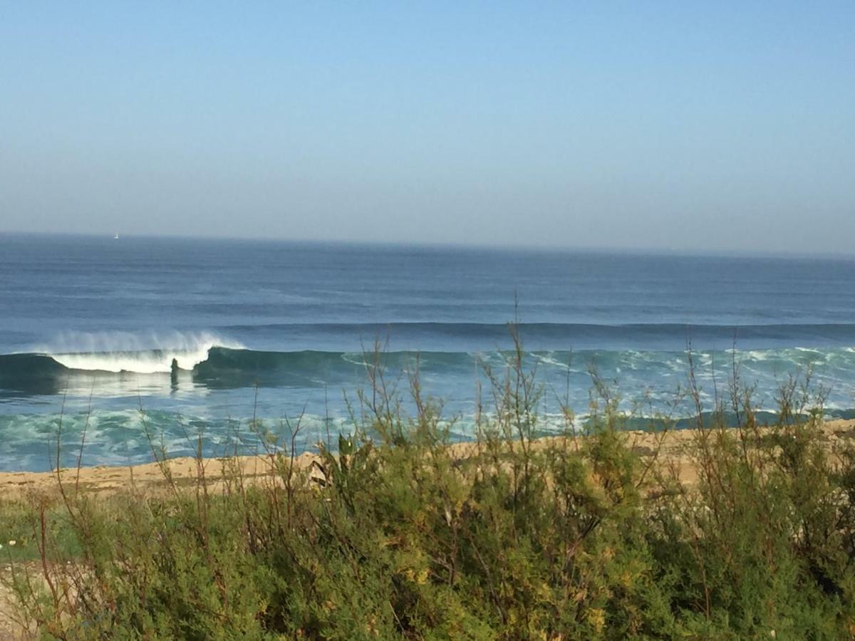 Oasis Backpackers Hostel Sintra Surf Colares Bagian luar foto