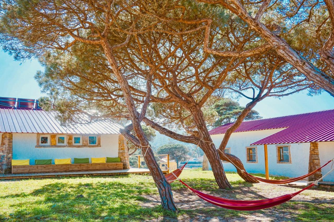 Oasis Backpackers Hostel Sintra Surf Colares Bagian luar foto